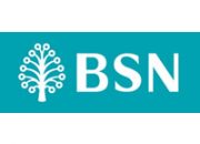 bsnbank_logo